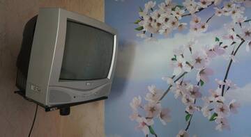 Фото номера Двухместный номер эконом-класса с 1 кроватью или 2 отдельными кроватями Гостиница Guest House v Sedrtse Koktebelya г. Коктебель 4