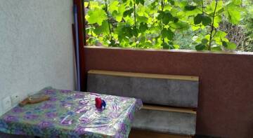 Фото номера Четырехместный номер с террасой Гостиница Guest House Maria г. Коктебель 5