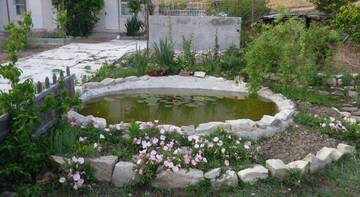 Фото номера Вилла Гостевой дом Villa Lubov г. Коктебель 2